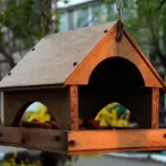 Er det nødvendigt at placere foderhuset et bestemt sted i haven for at tiltrække fugle?